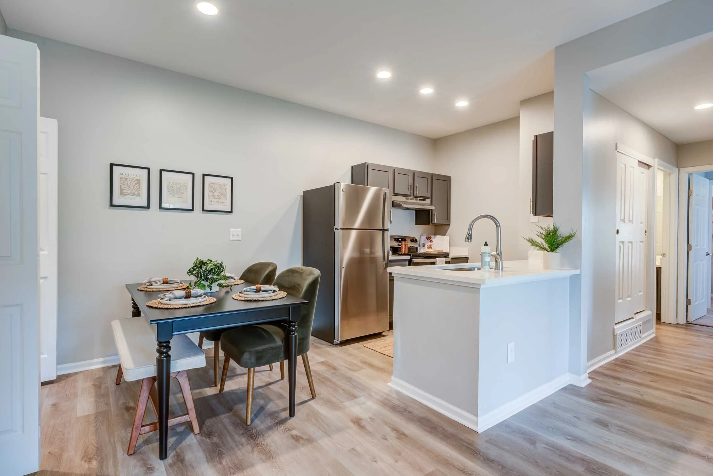 Renovated Apartments for Rent